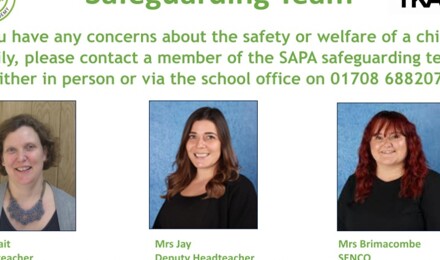 Sapa safeguarding team